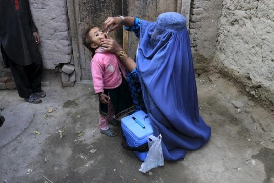 WHO, UNICEF launch Afghan polio vaccine campaign with Taliban backing