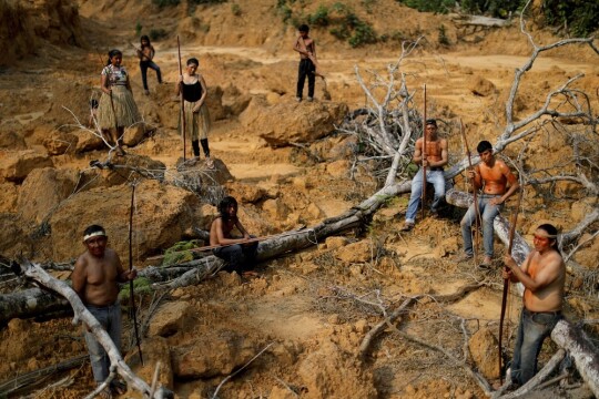 Brazil's Amazon deforestation surges to 15-year high