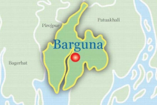 Heavily indebted farmer kills self in Barguna