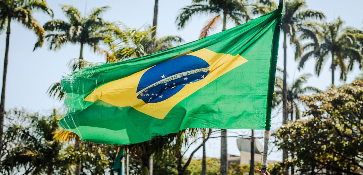 Football fan falls to death while hanging Brazil flag