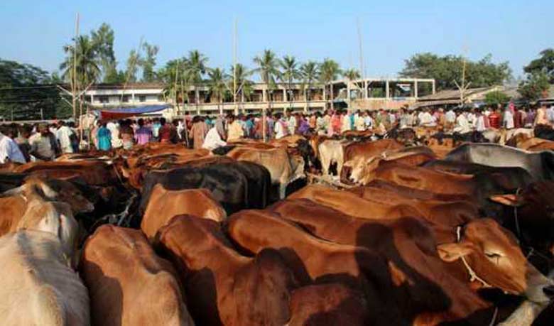 No roadside makeshift cattle market: Rezaul
