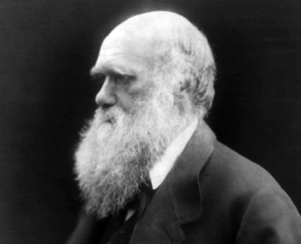 Darwin’s autographed document could fetch record price