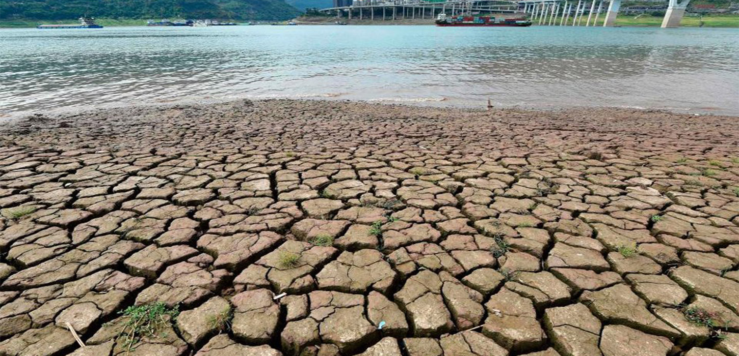 Half of China hit by drought in worst heatwave on record