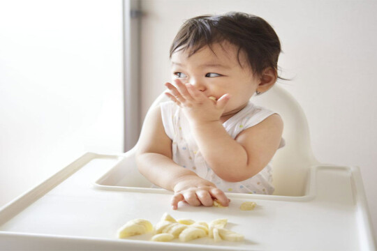 Foods that should avoid feeding toddlers