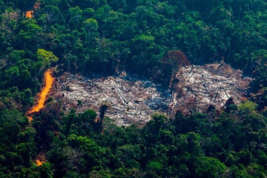 World leaders promise to end deforestation by 2030
