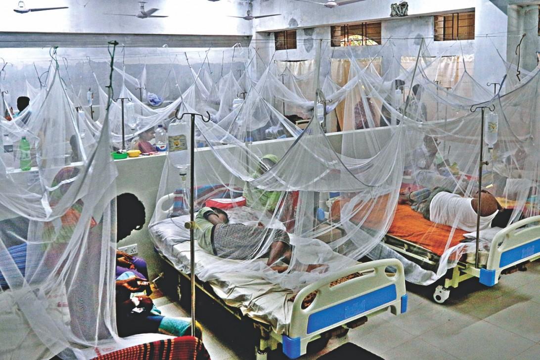 65 more dengue patients hospitalized