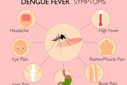 Dengue deaths reach 105 since last January