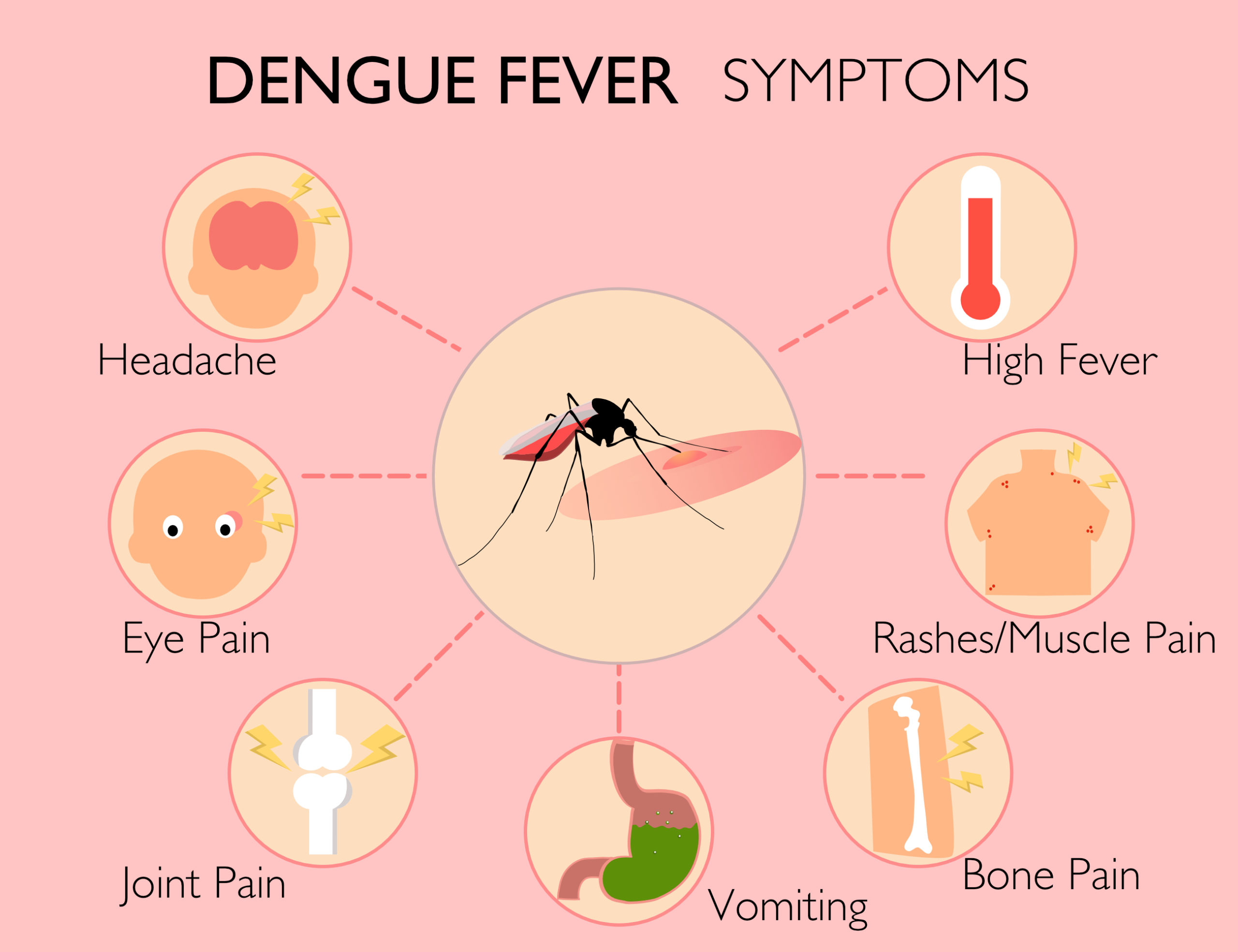 Dengue infection rate keeps jumping up