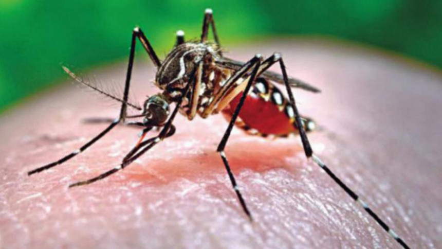 Dengue deaths climb to 100