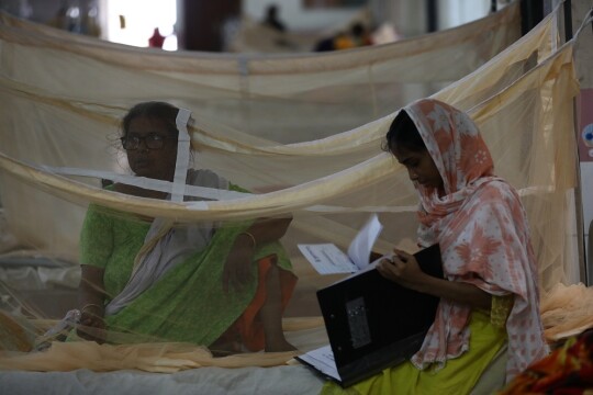 Bangladesh reports highest single-day dengue death