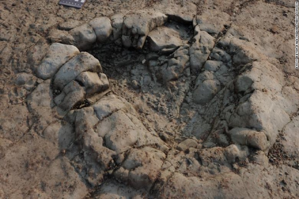Dinosaur footprints dating back 200 million years discovered in Wales