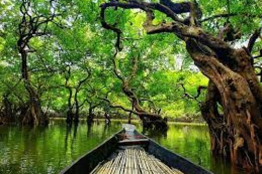 Best places to visit during the rainy season in Bangladesh