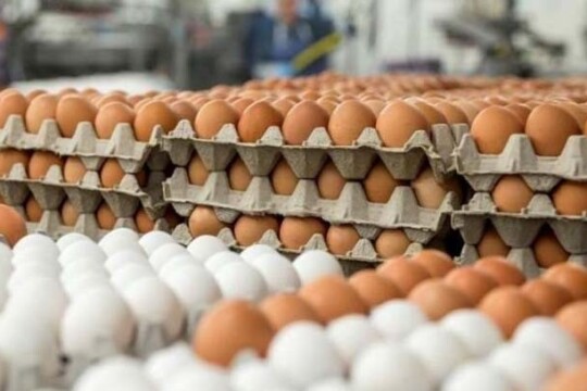 Egg prices jumped to Tk140 per dozen again in Dhaka