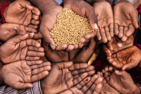 Bangladesh improves, ranks 84th on Global Hunger Index