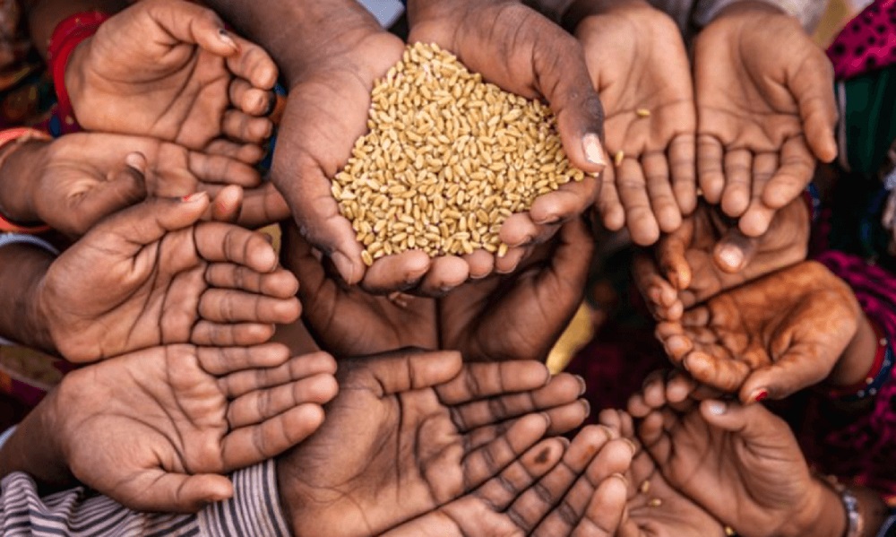 People facing acute food insecurity reach 345 million worldwide: WFP