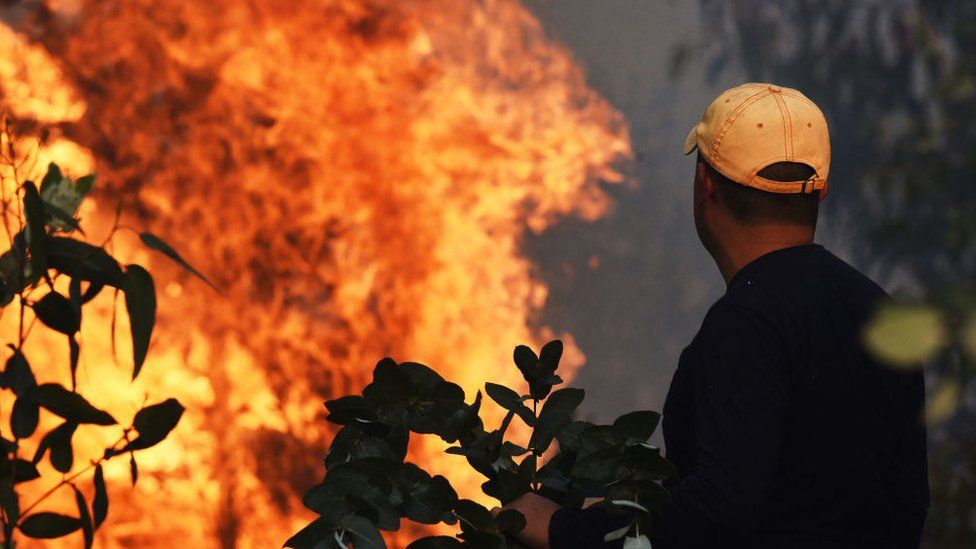 Global warming to drive more extreme wildfires