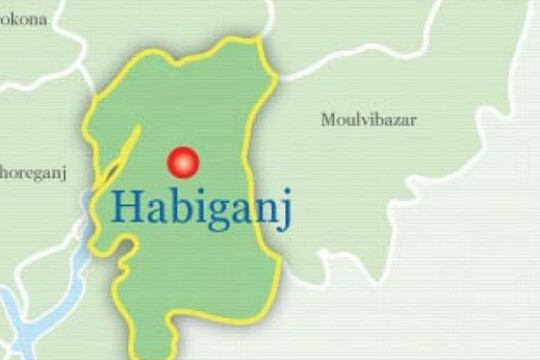 Journos on assignment attacked by land grabbers in Habiganj