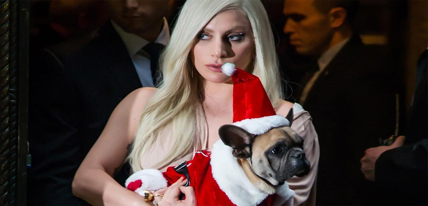 Lady Gaga dog robber sentenced to four years in US jail