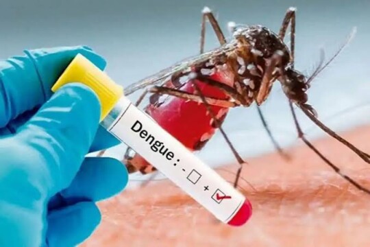 Dengue claims 8 lives in 24 hours