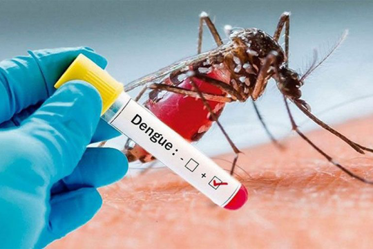Dengue claims 5 lives, 903 hospitalised  in 24hrs