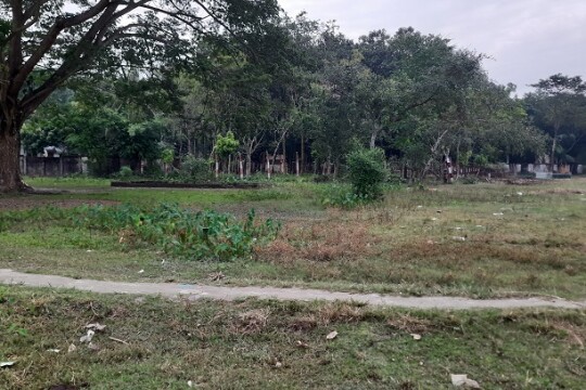 Suspected mass grave of freedom fighters in Madaripur