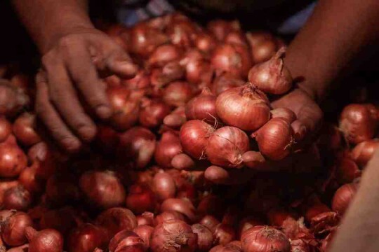 No new import permit for onion through Hili land port after March 15