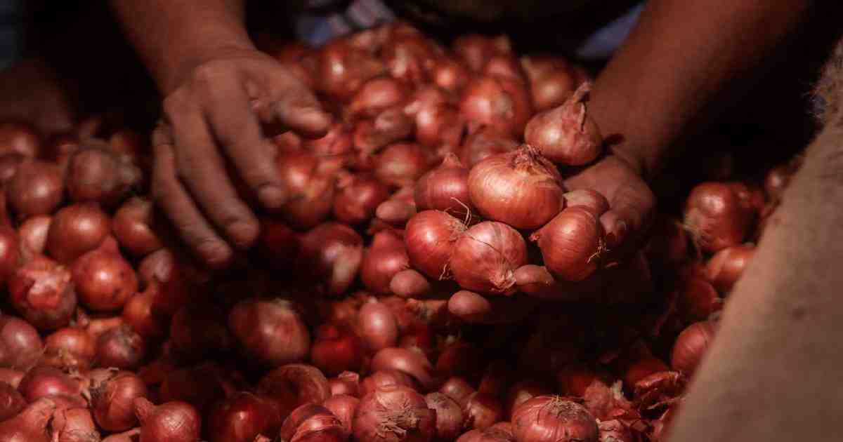 Govt withdraws onion import duty, 10% slash for sugar