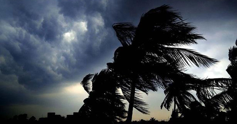 Possible windfall at 60 km/h speed, warning signal in 19 districts