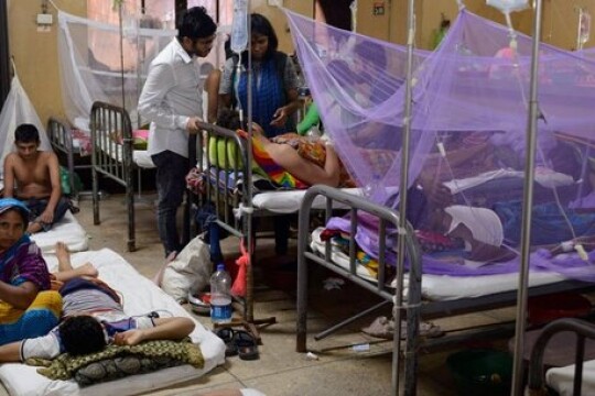 Dengue Situation: 189 hospitalizations reported in 24 hours
