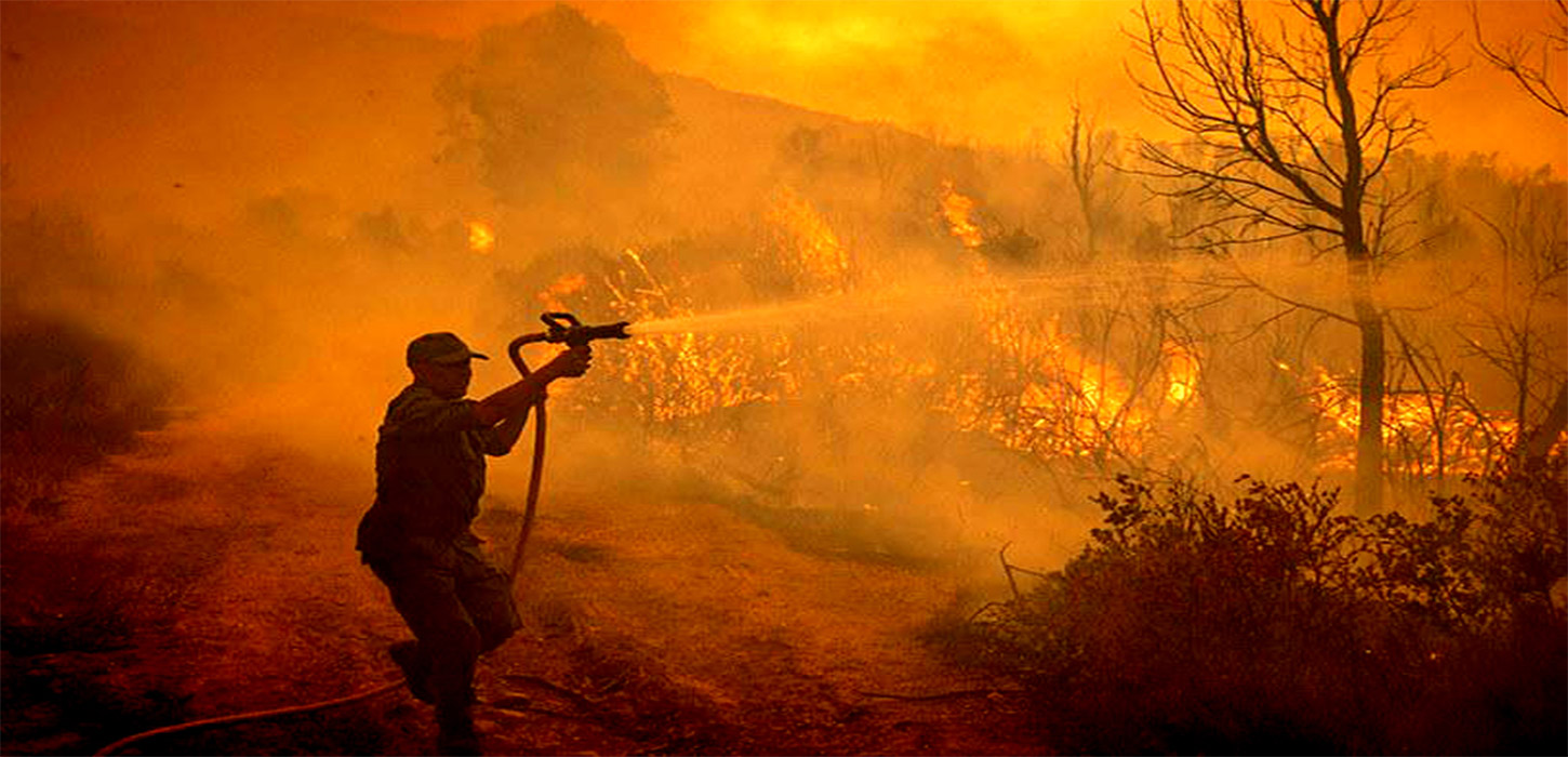 Three firefighters die in Morocco forest blaze