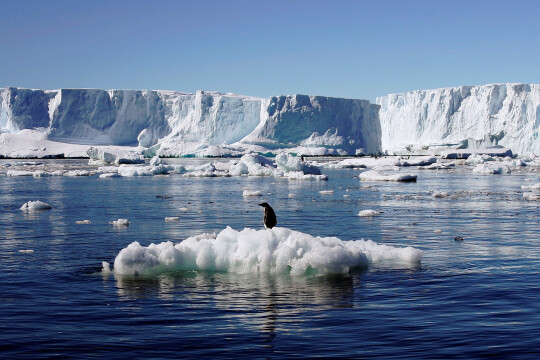 Research: Average temperature in central Arctic may grow by 20°C by 2100