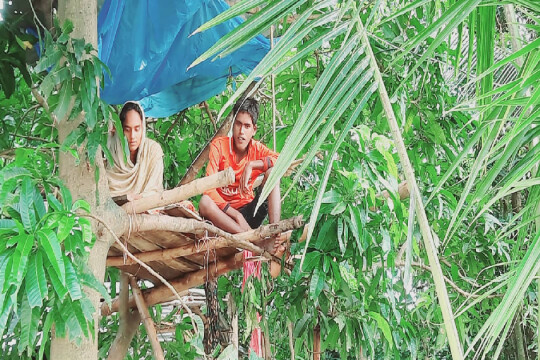 Sunamganj siblings spend 17 days on a tree during flood