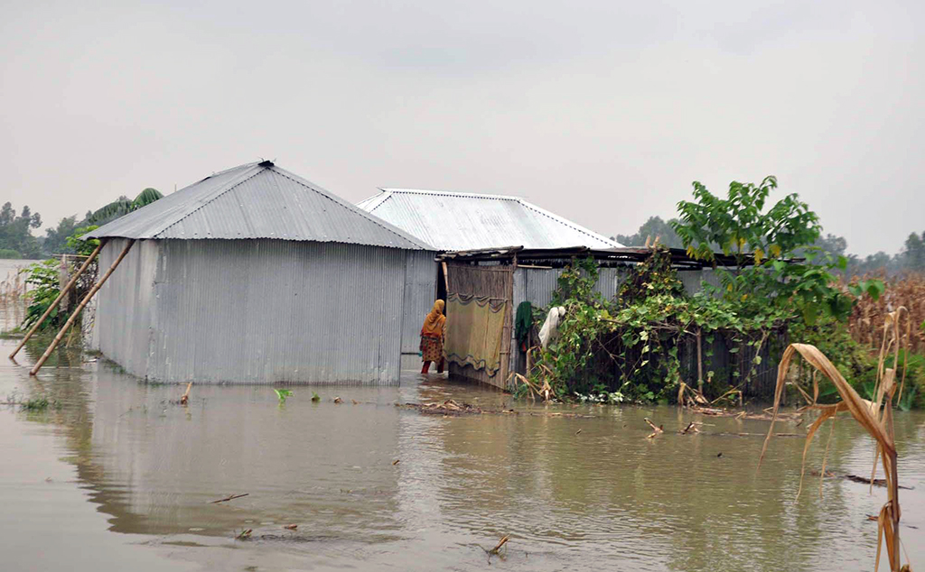 Floodwaters have submerged over 15,000 hectares of croplands in Kurigram