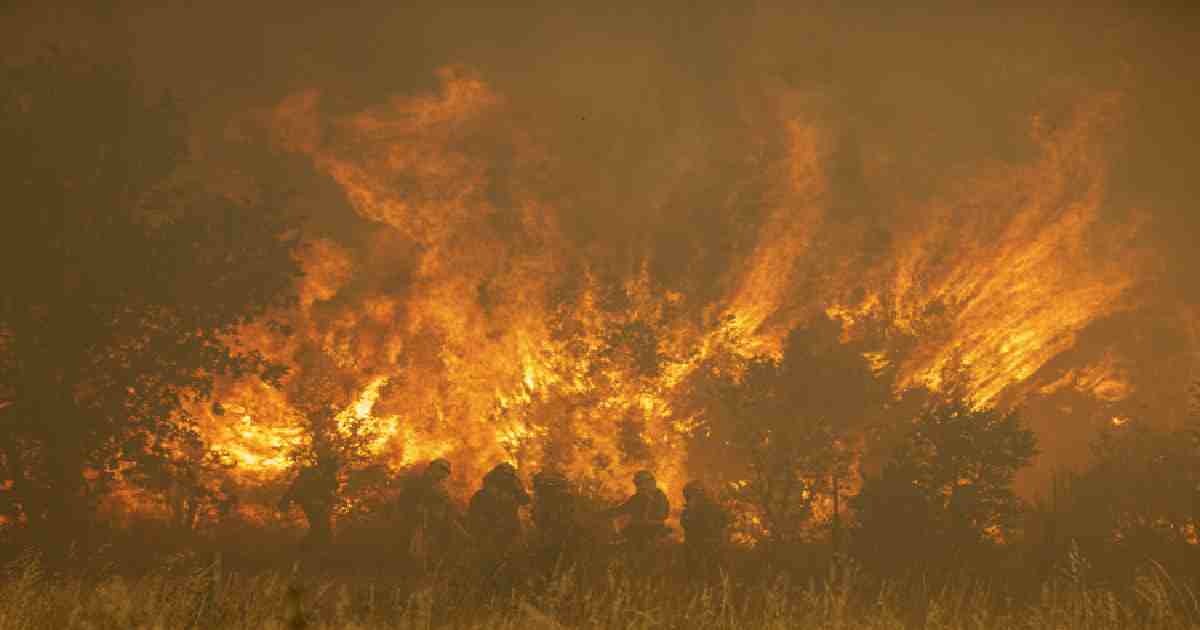 Scorching heatwave sparks wildfires in Europe